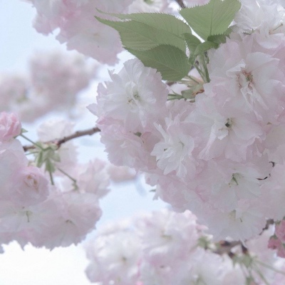 曲靖福瑞交流群